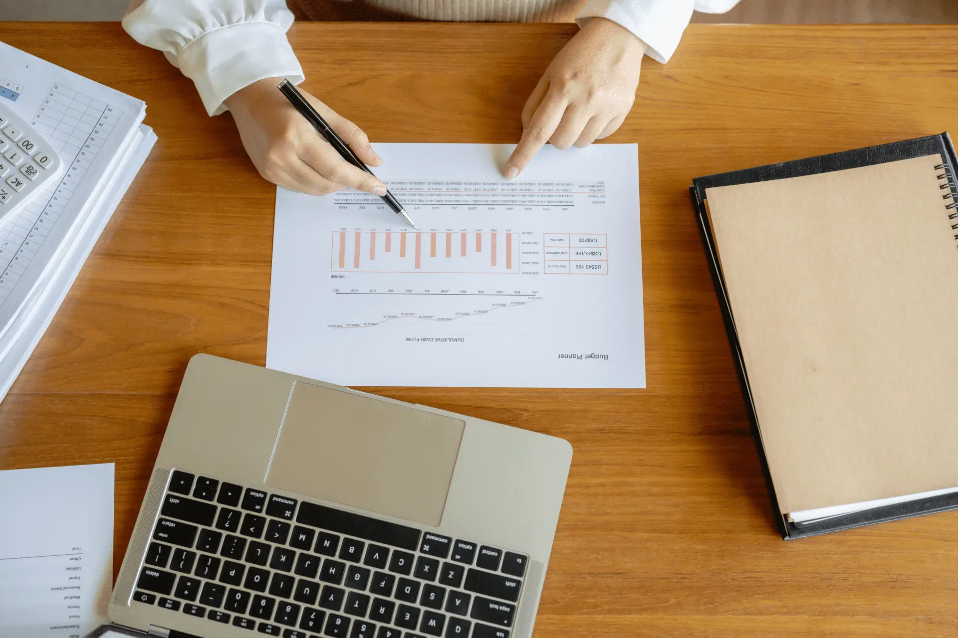 Business services professional advisory image